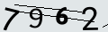 verifycode
